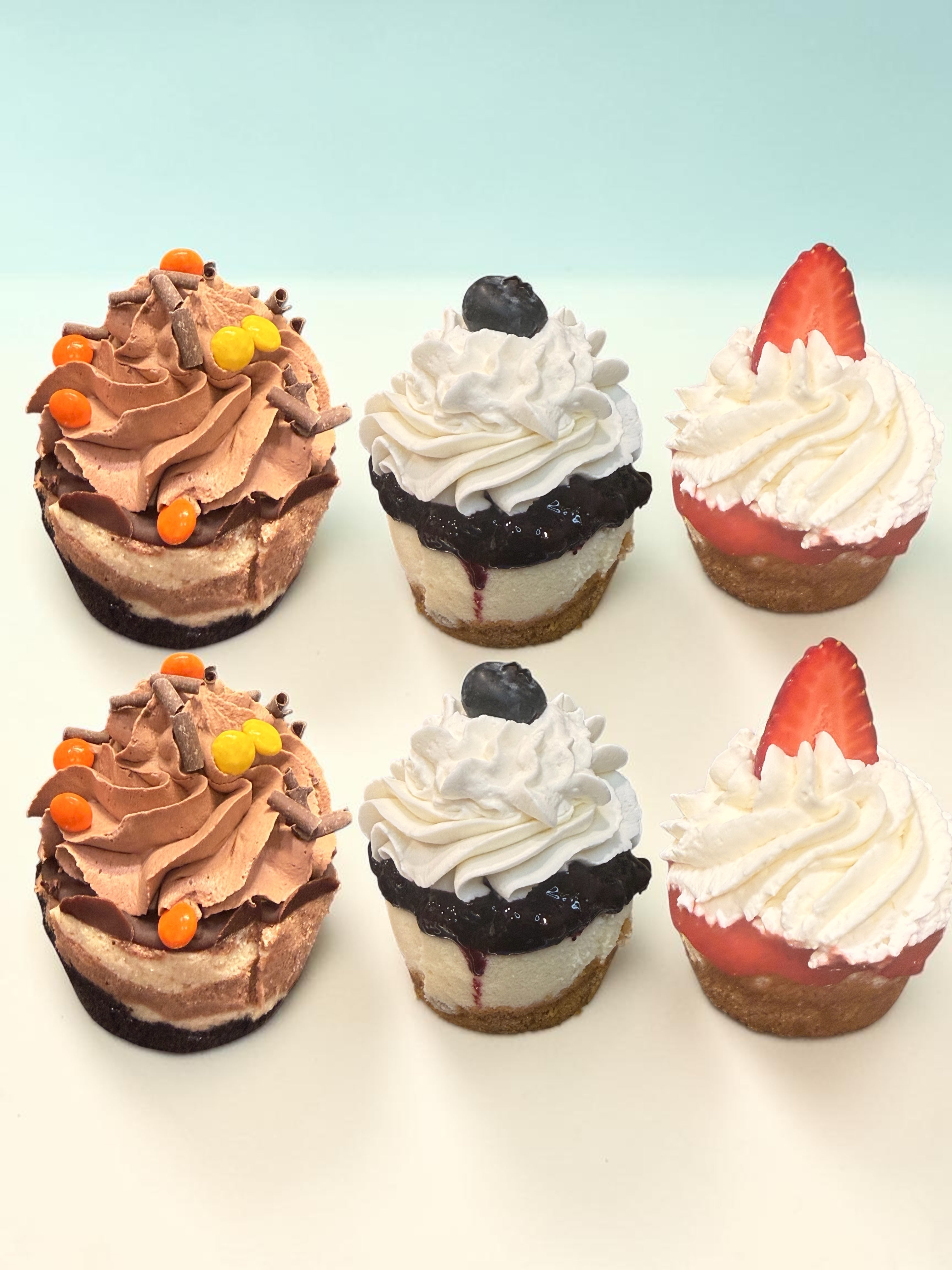 Variety Mini Cheesecake ( 6 pieces)