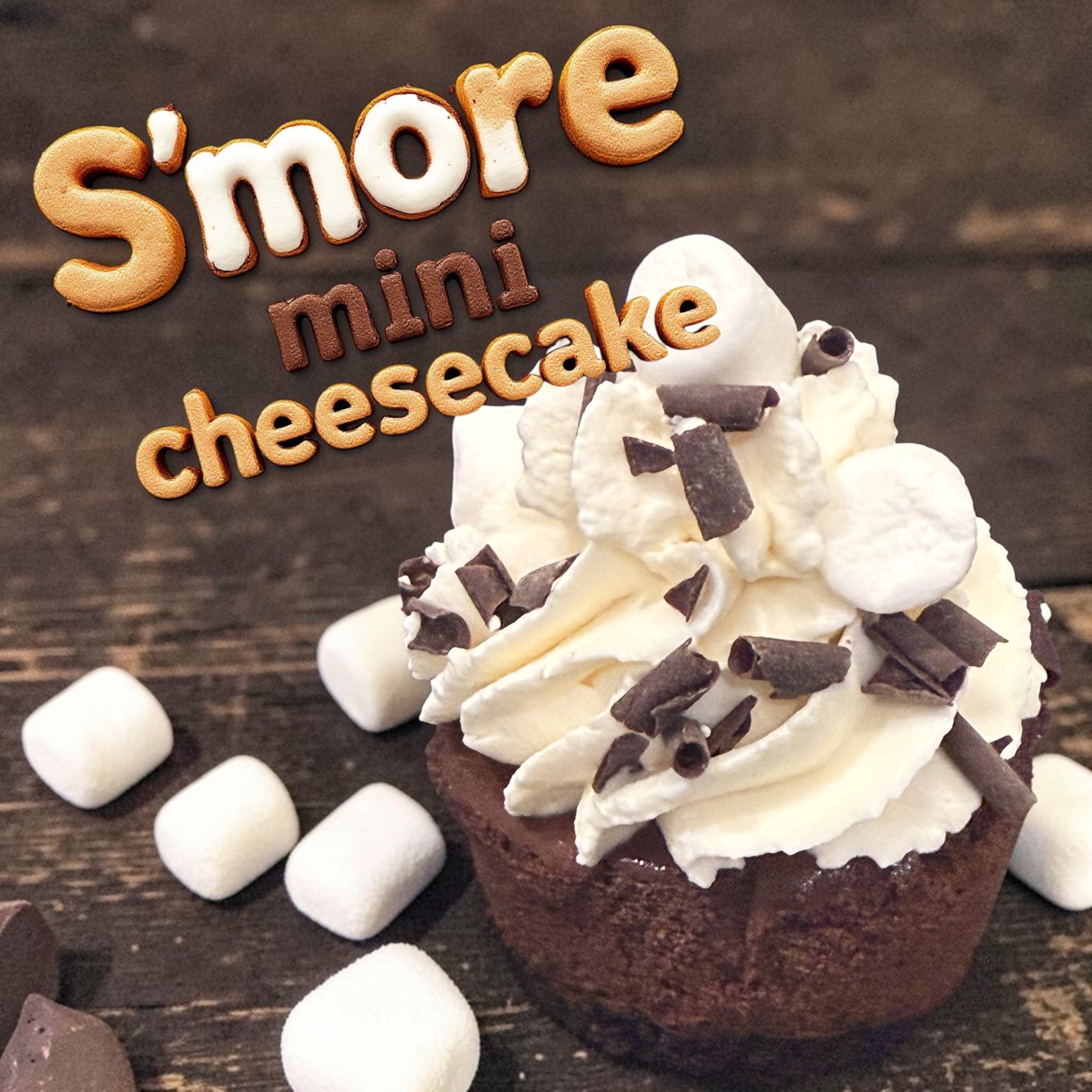 S’more mini cheesecake 4 pieces